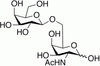 2-Acetamido-2-deoxy-6-O-(β-D-galactopyranosyl)-D-gala.. - A152500 - Toronto Research Chemicals, Inc.