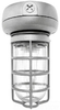 Vaporproof Fluorescent Fixture with Globe and Guard - VX1F13 - RAB Lighting