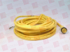 QD Cable/Cord Set - 180036487 - Radwell International