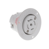 Plugs and Receptacles - WM22401-ND - DigiKey