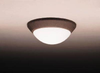 Flush Mounts-Bowl Style - 54761 - Light Center (The)