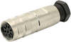 Circular Connector, Receptacle, 6 Position, Cable; Product Range Amphenol Sine/tuchel - 32T1038 - Newark, An Avnet Company