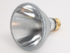 75 Watt, 120 Volt Halogen Long Neck PAR30 Spot - FAN3030 - bulbs.com