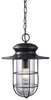 42286/1 Exterior -Hanging - 607847 - Capital Lighting, Inc.