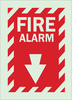 Glow-In-The-Dark Fire & Exit Sign - 80161 - Brady Corporation