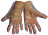 Global Glove Clear XL Polyethylene Disposable Gloves - Food Grade - 9600 XL -- 9600 XL