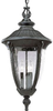 Exterior -Hanging - 234246 - Light Center (The)