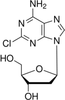 Cladribine - 17421 - Medical Isotopes, Inc.