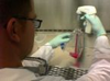 T7 RNA Polymerase in <B>Glycerol</B> - T7G-70000 - Life Sciences, Inc.