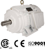 Oil Well Pump Motors -- OW25-12-324T