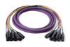 8 Channel Audio Snakes -- RCA05RCA - Image