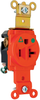 Heavy-Duty Hospital Grade Receptacle -- IG8301 - Image