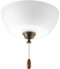 Fans-Light Kits - 353366 - Light Center (The)