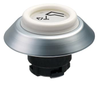 N program - NDL - Illuminated pushbutton - NDLWS/968D -  - Schmersal Inc.