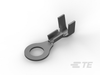 Ring Terminals - 60323-2 - TE Connectivity