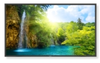 52-INCH PROFESSIONAL LCD DISPLAY -- P521
