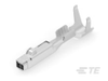 Automotive Terminals - 7-1670146-1 - TE Connectivity