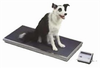 Veterinary Scale - HEA-2842 - Meridian Scale