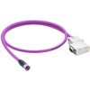 PROFIBUS Data Double-Ended Cordset: Male angled SUB-D-coded SUB-D to female - 0975 254 104 - Belden Inc.