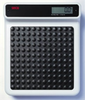 Stand-On Scale - SEC-770 - Meridian Scale