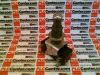 Limit Switch - 32914512 - Radwell International