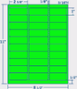 Fluorescent Green 2-5/8