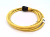 QD Cable/Cord Set - Radwell International