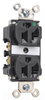 Duplex/Single Receptacle -- 8300-BK - Image