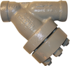 Carbon Steel or Alloy Steel Y Strainers -- 863M - Image