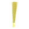 Accessories - 2827-265A-ND - DigiKey