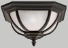 9848RZ Exterior -Ceiling Mount - 495285 - Capital Lighting, Inc.