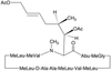 N-Acetoxy Cyclosporin A Acetate - A164740 - Toronto Research Chemicals, Inc.