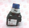 Pilot Light - 203413636 - Radwell International