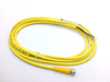 QD Cable/Cord Set - Radwell International