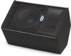 Active 2-way Monitor with 12