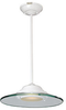 50441-BS/8CL Pendants-Glass Down - 795861 - Capital Lighting, Inc.