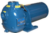 81 1/4A3-E.33 3P Self Priming Pump -  - Gorman-Rupp Pumps