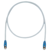 Modular/Ethernet Cables (RJ45, RJ11) - STPCH10MBBU-ND - DigiKey