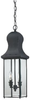 IRN1907K Exterior -Hanging - 375260 - Capital Lighting, Inc.
