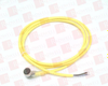 QD Cable/Cord Set - 65318620 - Radwell International