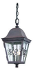 F2358WB Exterior -Hanging - 673872 - Capital Lighting, Inc.