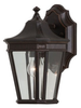 Outdoor Wall Light - OL5400GBZ - Generation Brands