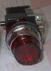 Pilot Light - 3804417 - Radwell International