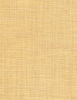 Scrim the Surface Fabric - 9066/03 - Pollack