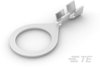 Ring Terminals -- 62786-1