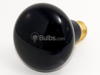 75 Watt, 120 Volt R25 Black Lite Reflector Bulb - 106976 - bulbs.com