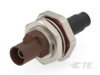Coax Connectors - 2550701-6 - TE Connectivity