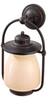 Outdoor Wall Light - OL9302GBZ - Generation Brands
