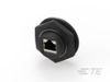 RJ45 Connectors - 1-1546405-1 - TE Connectivity
