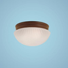 Flush Mounts-Bowl Style - 730098 - Capital Lighting, Inc.